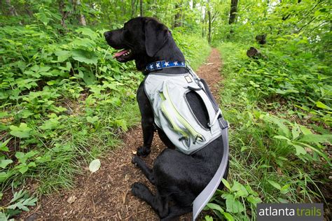 Ruffwear Singletrak Dog Backpack review - Trailful | Dog hiking gear, Dog backpack, Dog backpacks