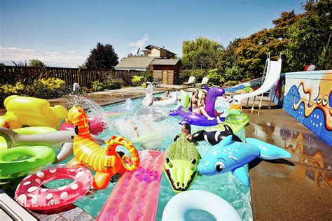 How to Choose Inflatable Pool Animals for Hot Summer Days – Australian ...