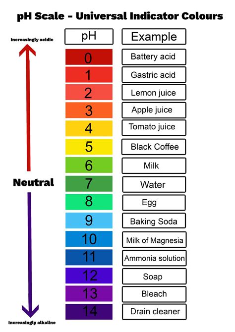 What Is The Ph Scale - vrogue.co