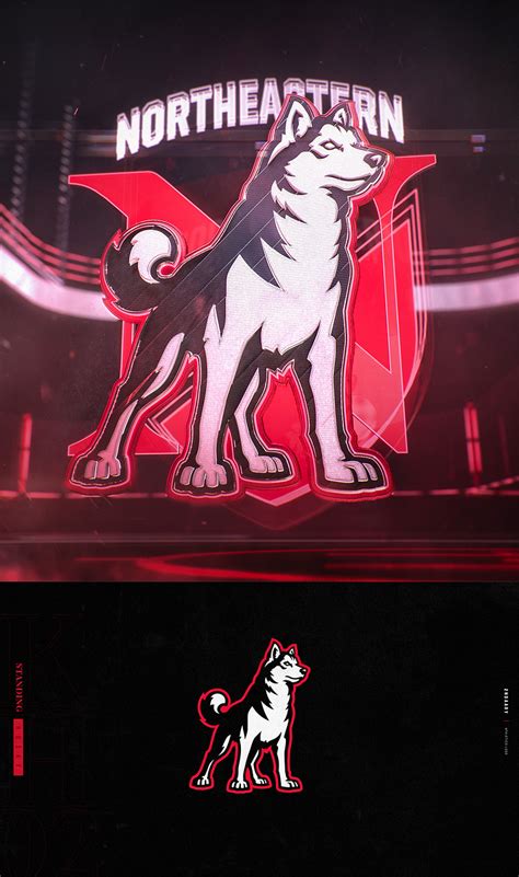 Northeastern Huskies | Athletics Mascot Rebrand by Jeremy Nelson on ...