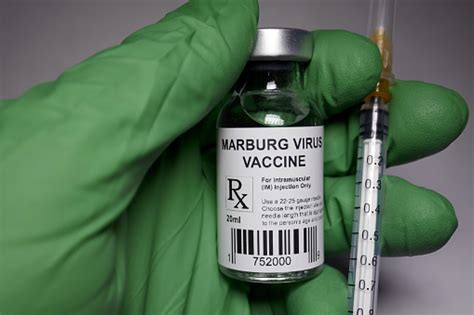 Marburg Virus Disease Vaccine Stock Photo - Download Image Now - iStock