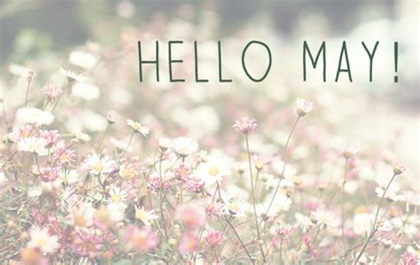 🔥 [50+] Hello May Wallpapers | WallpaperSafari