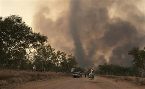 Suspicious Kimberley station fire could have killed thousands of cattle | The West Australian