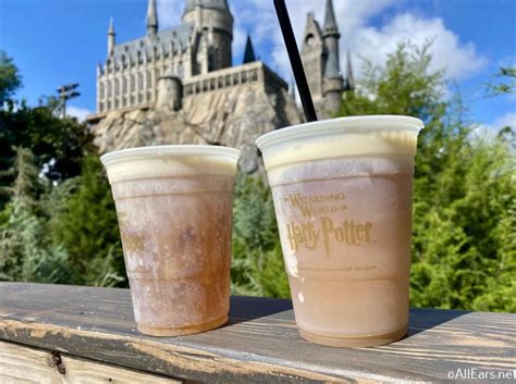 You Can Now Officially Purchase Butterbeer ONLINE - But, There's One Big Catch - AllEars.Net