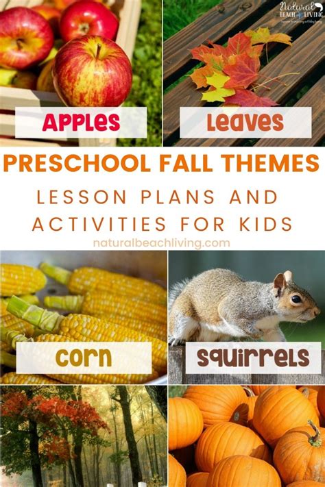 40+ Best Fall Preschool Themes and Activities - Natural Beach Living