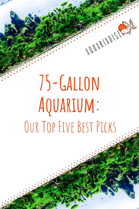 75-Gallon Aquarium: Our Top Five Best Picks