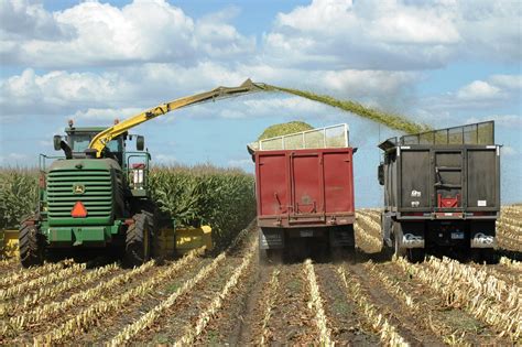 Corn Silage Season | South Dakota Corn