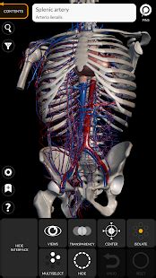 Anatomy 3D Atlas - Apps on Google Play