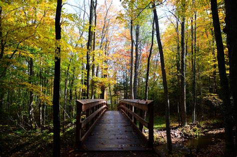 Chequamegon Nicolet National Forest Begins Year-Long Visitor Use Survey ...