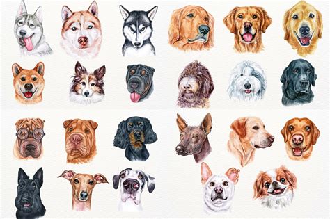 70+ Watercolor Dog Breeds – MasterBundles