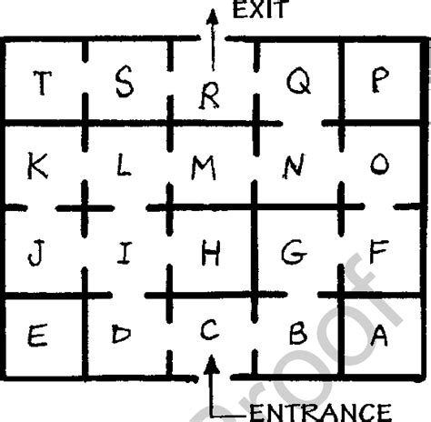 1 The drawing of the maze | Download Scientific Diagram