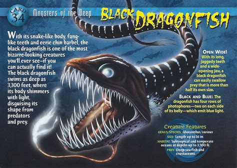 Black Dragonfish - Wierd N'wild Creatures Wiki