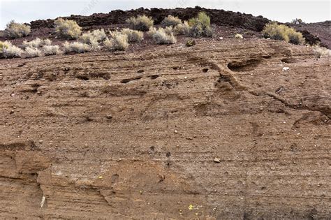 Strata showing Volcanic Ash Deposition - Stock Image - C044/8319 - Science Photo Library