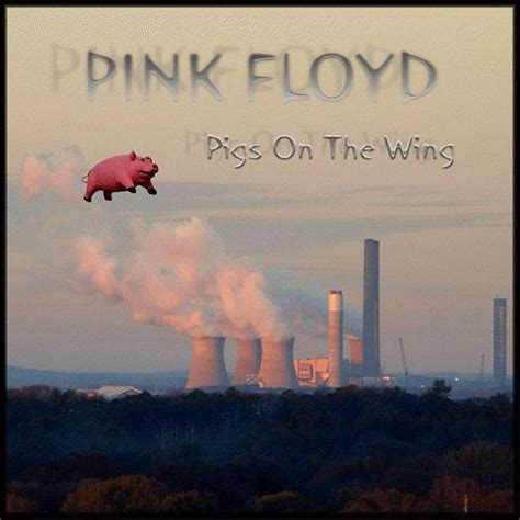 Pink Floyd - Pigs On The Wing | Pink floyd pig, Pink floyd art, Pink floyd