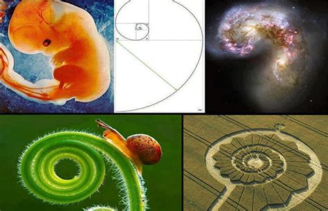 Fibonacci sequence formula golden ratio - rdHop