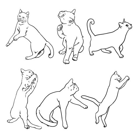 Cat Line Drawing Collection 1082726 Vector Art at Vecteezy