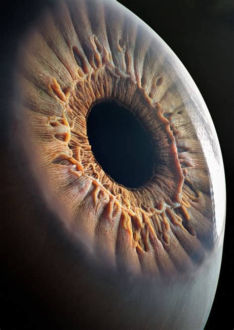 ArtStation - Realistic Eye