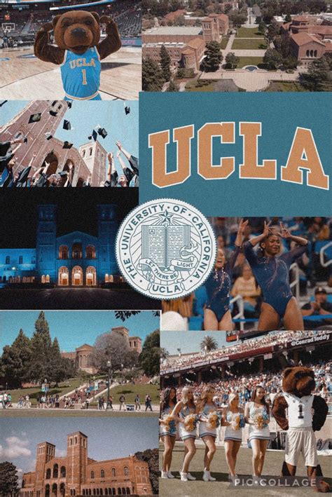 UCLA collage in 2023 | Dream college, Ucla, Vision board photos