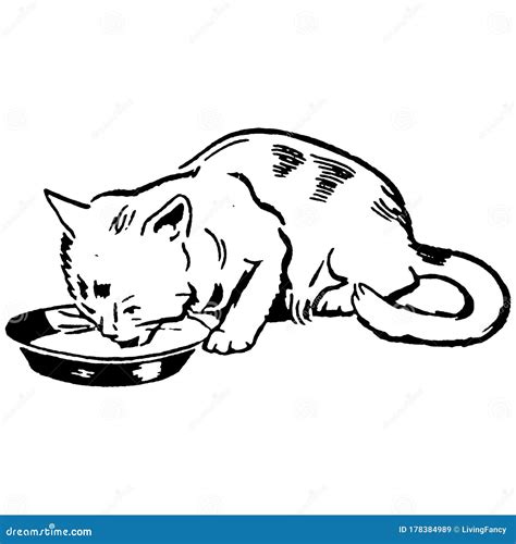 Vintage Clipart 263 Cat or Kitten Drinking Milk Stock Illustration - Illustration of eating ...