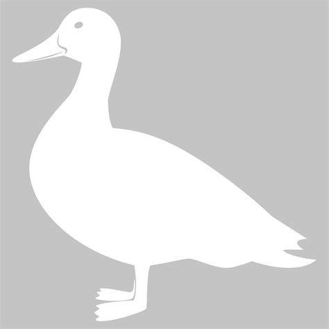 Wallstickers folies : Duck Whiteboard Wall Stickers