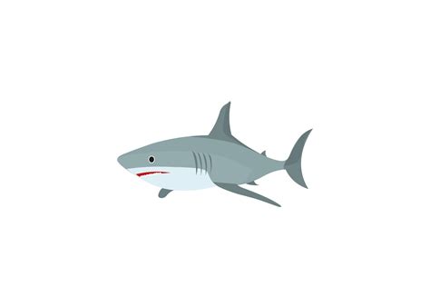 Shark Illustration Realis Vector Graphic by 1riaspengantin · Creative Fabrica