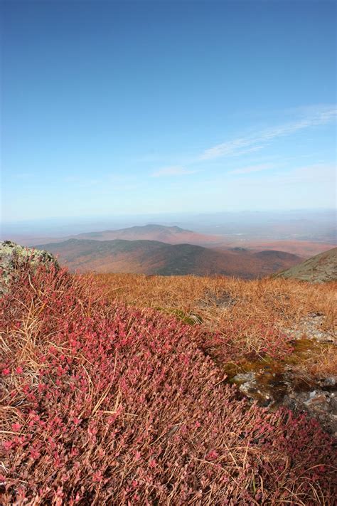 AMC Conditions: Peak Foliage in the White Mountains!