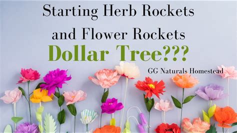 Dollar Tree Gardening??? Flower Rockets and Herb Rockets... LET’S DO IT! GG Naturals Homestead☀️ ...