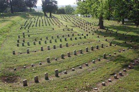 rows of headstones are arranged in the middle of a grassy field, surrounded by trees