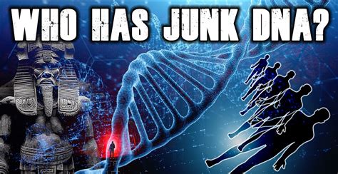 What is Junk DNA?