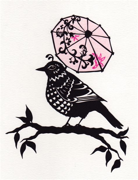 Umbrella Bird | RuralPearl.com