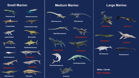 I made a chart of marine reptiles we could see get added to the game, sorted by the different ...