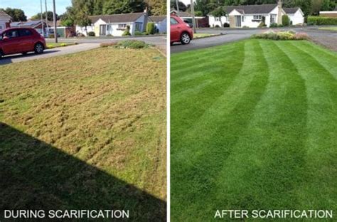 Lawn Scarification Service - Johnson Gardening Services Ltd