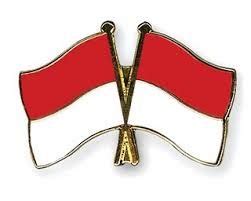 mewarnai bendera merah putih anak tk