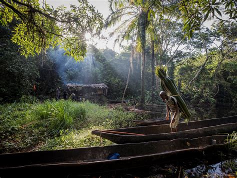 To save the Congo basin rainforest, end the conflict in the DRC | Climate Crisis - WireFan ...