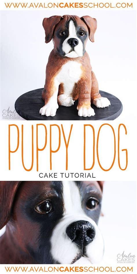 Puppy Dog Boxer Cake Tutorial • Avalon Cakes Online School | Dog cakes ...