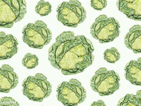 Cabbage Wallpapers - Top Free Cabbage Backgrounds - WallpaperAccess