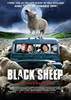 Black Sheep Movie Poster (#3 of 4) - IMP Awards