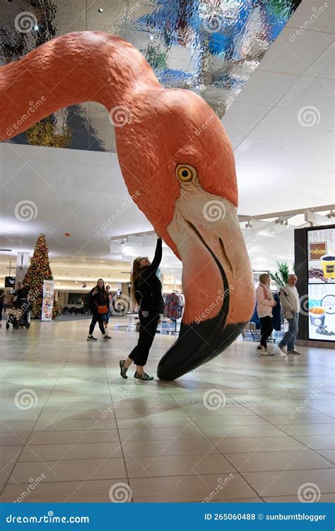 Tampa airport flamingo editorial stock photo. Image of iconic - 265060488