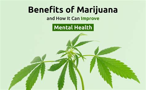 Benefits of Marijuana And How It Can Improve Mental Health | Blog