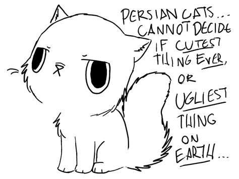 Persian cats by crazykid503 on DeviantArt