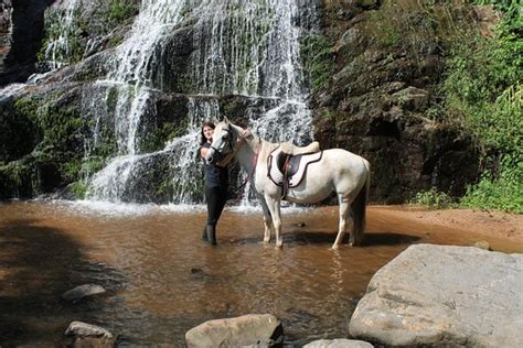 Giba Gorge Horse Trails (Durban) - 2021 All You Need to Know BEFORE You Go (with Photos ...