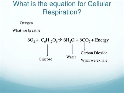 What Is The Chemical Equation For Cellular Respiration