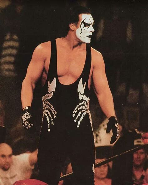 Crow Sting | Wrestling wwe, Wrestling superstars, Professional wrestling