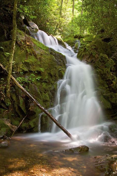 Top 9 Smoky Mountain Hiking Trails with Waterfalls | Smoky mountains vacation, Smokey mountains ...