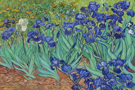 Irises Art Wallpaper mural - Van Gogh Murals Wall Murals