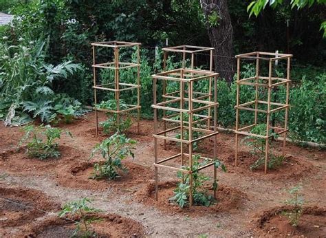 10 Cheap and Easy DIY Tomato Cages - Gardeners' Magazine | Tomato cages, Vegetable garden design ...
