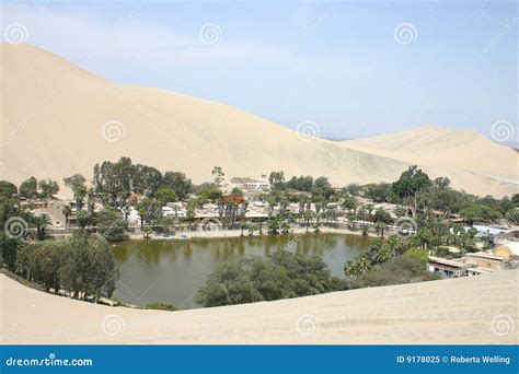 Oasis In The Desert Royalty Free Stock Photo - Image: 9178025