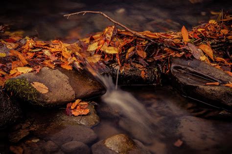 Smoky Mountain Stream in Fall Photograph by Teri Virbickis - Fine Art ...