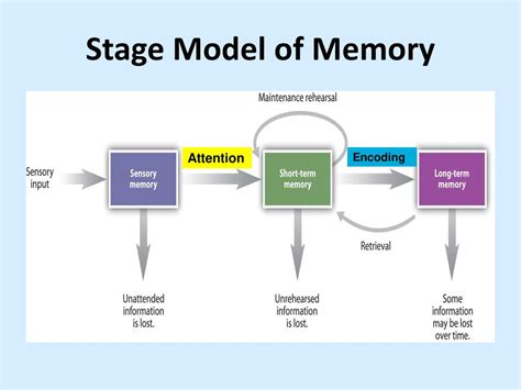 Memory Encoding Storage Retrieval