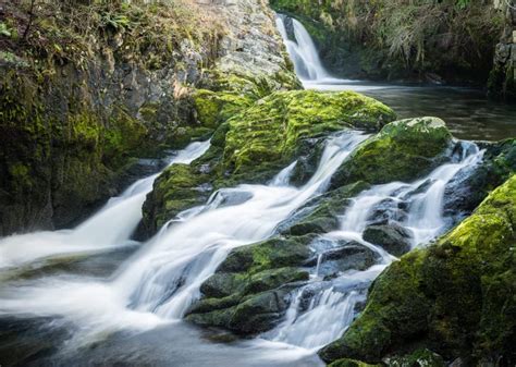 Free picture: nature, water, landscape, river, stream, waterfall, wood ...